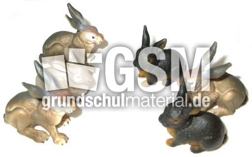 Hasen3+3.jpg